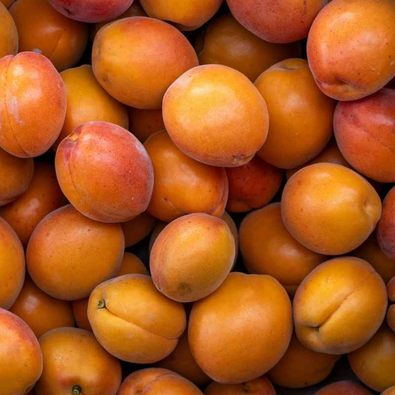 APRICOT KERNEL OIL