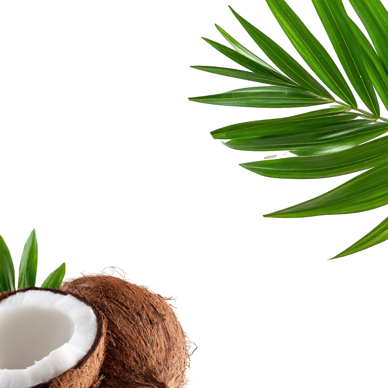 COCONUT OIL
