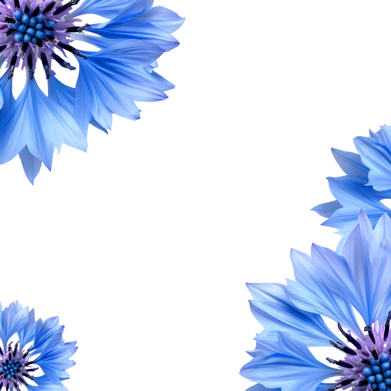 CORNFLOWER WATER