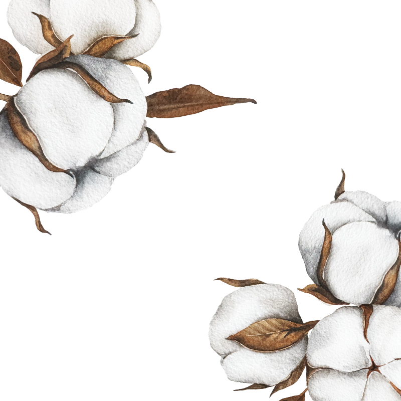 COTTON OIL