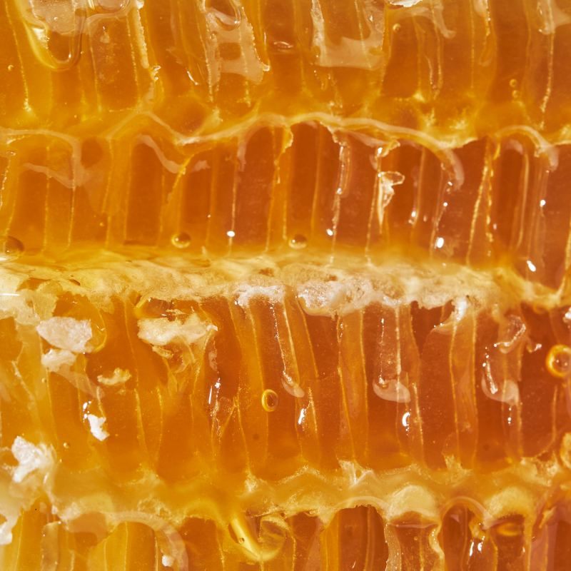 HONEY