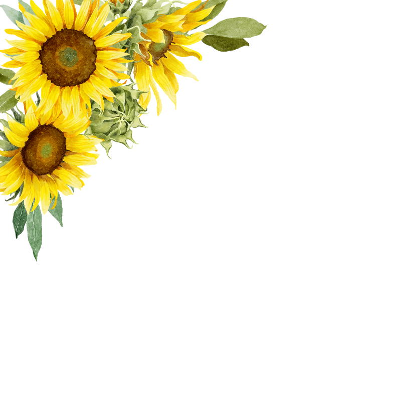 SUNFLOWER SEED OIL
